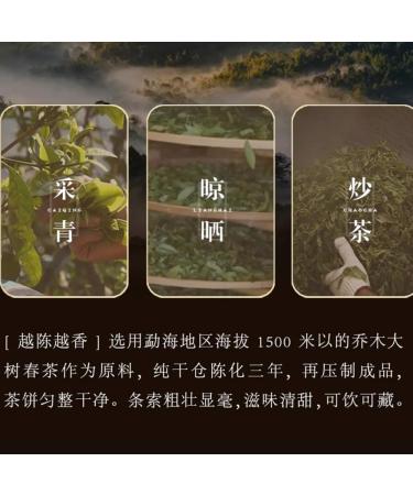 Pu-erh tea 2021 Older and more fragrant 357g Cooked - Buy Online on SooperMarket.com