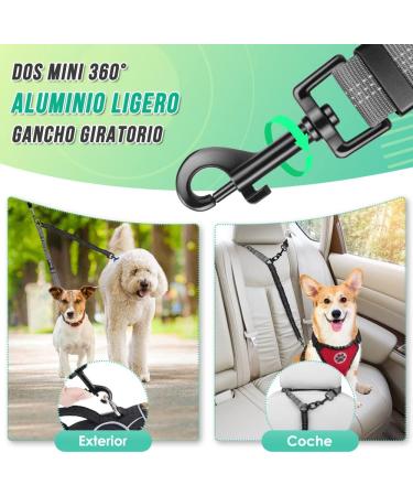 Buy NASJAC Double Dog Linen Coupler | Adjustable Reflective & Shock-Damping Shared Leash for 2 Dogs - Black & Gray - Buy Online on SooperMarket.com