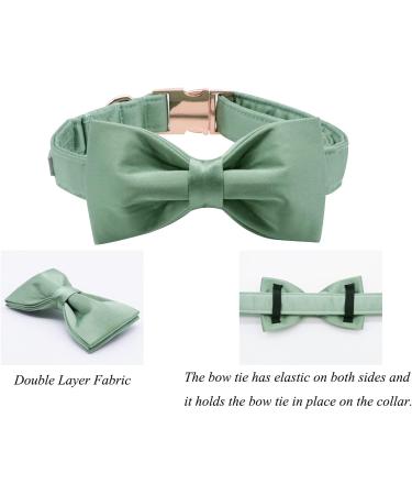 Shop Lionet Paw's Comfortable Silk Green Dog Collar with Removable Fly - XS for Puppies & Cats (20-30cm) - Ideal for International Shipping - Buy Online on SooperMarket.com