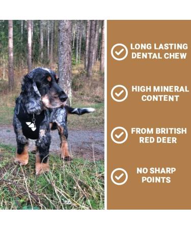 Pets Purest 100% Natural Red Deer Antlers for Dogs - 2 Small Stag Horn Bones - Premium Treat & Plaque Removal Chews - Buy Online on SooperMarket.com