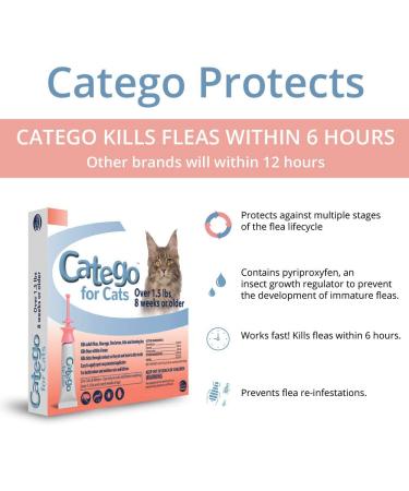 Catego Flea & Tick Control for Cats - Single Dose | Fast-Acting Treatment - Buy Online on SooperMarket.com
