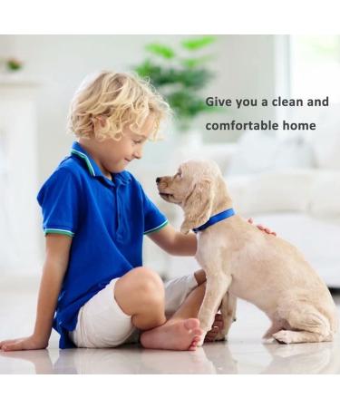 2-in-1 Professional Metal Dog and Cat Comb with Stainless Steel Teeth - Grooming Tool for Long & Short Haired Pets - Removes Tangles, Knots, Fleas & Lice - Buy Online on SooperMarket.com