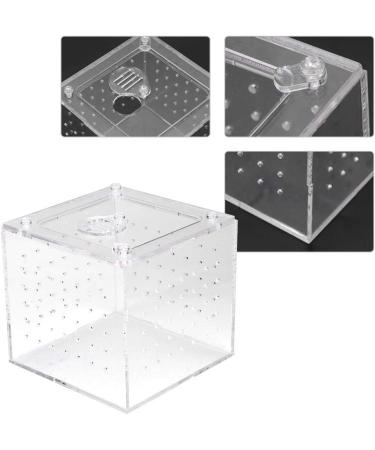 Acrylic Reptile Breeding Box Transparent Live Food Storage Insect Viewing Box for Spider Crickets Snails Hermit Crabs Tarantulas Geckos 3.9x3.9x3.5inch - Buy Online on SooperMarket.com