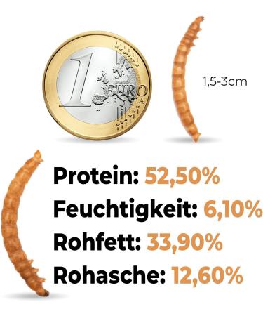 Buy Dried Flourworms 2kg - Protein-Rich Snack for Wild Birds Fish Reptiles & Rodents | International Shipping - Buy Online on SooperMarket.com
