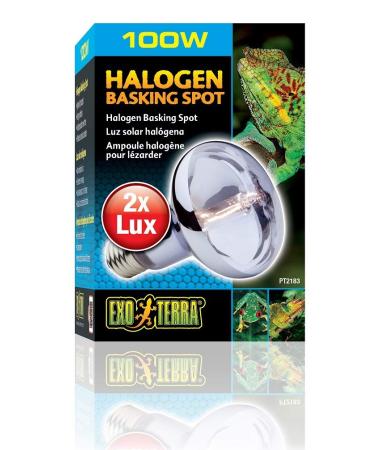 Exo Terra Halogen Basking Spot Bulb 100 W