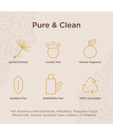 Lavanila Vanilla Sugarcane Scented Perfume for Women 1.7 oz - The Healthy Fragrance Clean and Natural - Buy Online on SooperMarket.com