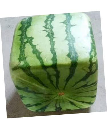 Uonlytech Watermelon Shaping Fruit Tools Pumpkin Growing Molds for Garden Vegetable Shaping Tool Watermelon Modeling Big Rod 15x15cm Transparent - Buy Online on SooperMarket.com