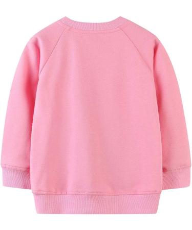 Girls Cotton Sweatshirt | Long Sleeve Pullover | Toddler Clothes | Age 2-3 Years | Koala Design - Buy Online on SooperMarket.com