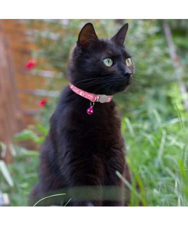 Tagme Personalized Cat Collar - Adjustable Safety Neck Band for Cats (2-Pack) - Pink - Custom Name & Phone Number Fits 18-28 cm - Buy Online on SooperMarket.com