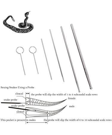 PETSTARCX 6 Pack Round Ball Tip Reptiles Snake Probe Portable Probe Kit - Buy Online on SooperMarket.com