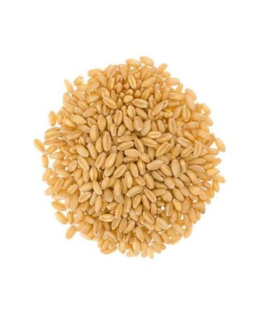Soft White Wheat Berries 12 lbs - Non-GMO Project Verified, Kosher, USA Grown - Resealable Kraft Bag - Pack of 3 - Buy Online on SooperMarket.com
