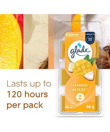 Glade Wax Melts Air Freshener and Odor Eliminator Scented Essential Oils for Home and Bathroom Mango Breeze 6 Count - Buy Online on SooperMarket.com