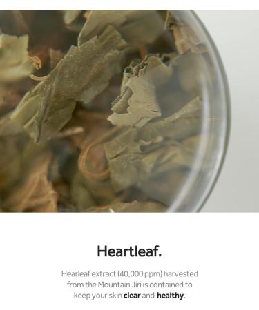 Abib Heartleaf Spot Pad - Calming Touch (75 Pads) | Gentle Skincare Solution - Buy Online on SooperMarket.com