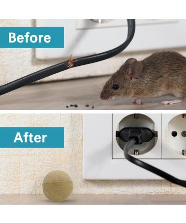 SUAVEC Rodent Repellent 8 Pack - Peppermint Oil Mouse and Rat Deterrent for House, RV, and Outdoor Use - Buy Online on SooperMarket.com