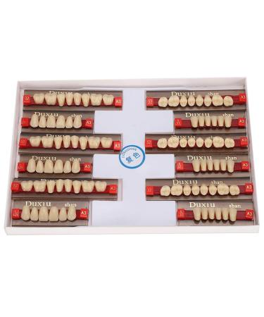 Buy Complete Resin Dentures | High-Quality Artificial Teeth & Dental Supplies for International Shipping - Buy Online on SooperMarket.com