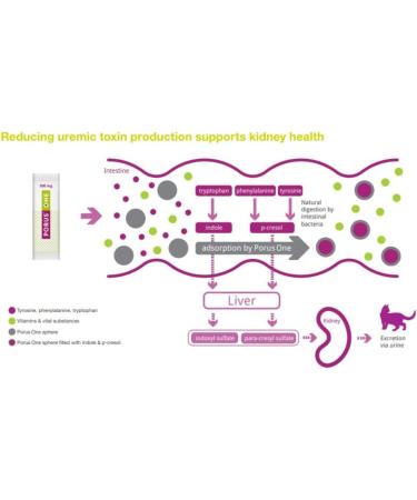 Porus One 30x500mg | Kidney Support Supplement for Cats | Reduce Uremic Toxins - Buy Online on SooperMarket.com