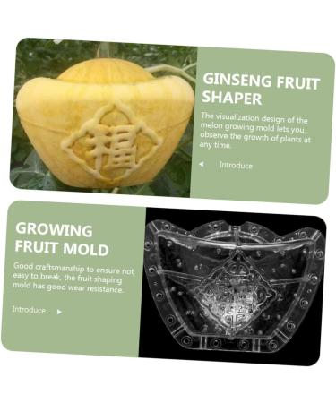 GANAZONO 4pcs Clear Fruit Mini Watermelon Plastic Fruit Square Mold Small Fruit Mold Ginseng Tool Pumpkin - Buy Online on SooperMarket.com