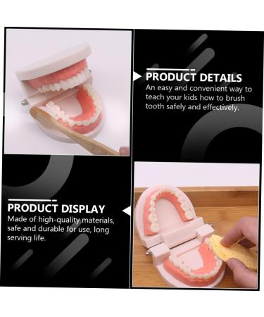 Buy Beavorty Learning Toothbrush Toys for Early Teething | Pedagogical Tooth Cleaning Model for Preschool - Buy Online on SooperMarket.com