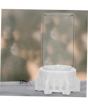 Yardwe Ant Water Dispenser - Ideal for Ant Nests & Feeding | 6.00x3.70x3.70cm | International Shipping - Buy Online on SooperMarket.com