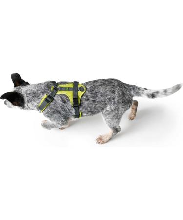 HUNTER Harness Maldon 47-69/SM Lime/Grey - Premium Pet Harness for Ultimate Comfort & Style | International Shipping Available - Buy Online on SooperMarket.com