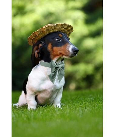 Lionet Paws Dog Collar Fly - Comfortable Silk XS Collar for Puppies & Cats (20-30cm) | 1 Pack - Stylish & Functional - Buy Online on SooperMarket.com