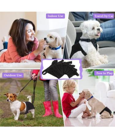 3-Way Pack Functions for Dogs - Washable & Durable Dog Accessories | Shop Now! - Buy Online on SooperMarket.com