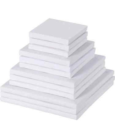 Hestya 12 Pieces Assorted Size Mini Art Canvas Stretched for Craft Painting Drawing (3 Inches  4 Inch  5 Inch  6 Inch)