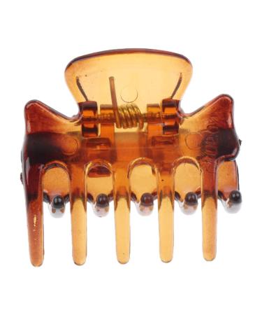 Fityle 12-Piece Resin Mini Hair Clip Set - Trendy Hair Grippers & Claws | Stylish Hair Accessories in Coffee Color for All Hair Types - Buy Online on SooperMarket.com