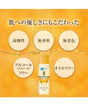 (Set of 2) Hada Labo Gokujun Premium Hyaluronic Acid 170ml - Hydrating Skin Care Serum - Buy Online on SooperMarket.com