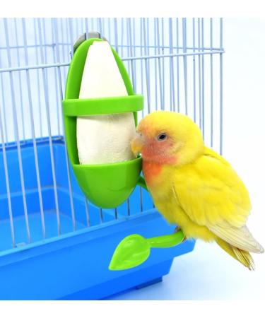 2Pcs Bird Parrot Cuttlebone Holder Set with Perch Stand Universal Bird Feeding Racks Cuttlefish Bone with Holder for Bird Food Supplies Vegetable Fruit Container green - Buy Online on SooperMarket.com