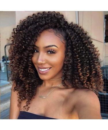 Lady Miranda Afro Kinky Curly Braiding Hair Extensions 10 Inch 3X Braid Synthetic Hair- Black&Brown 1B/30 - Buy Online on SooperMarket.com