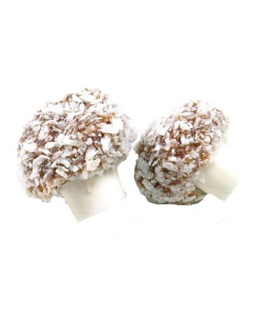 KINGSWAY CANDY SWEETS - Over 300 Different Sweets & Weights to Choose From (Coconut Mushrooms 500g)
