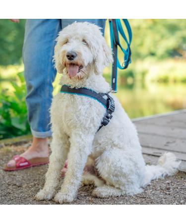 Nobby Norwegian Harness Mesh Preno - Pink Adjustable L: 38-50 cm 20/25 mm Pack of 6 - Lightweight & Comfortable - Buy Online on SooperMarket.com