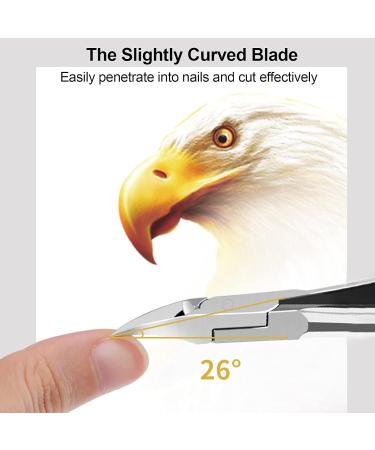 Toenail Clippers Trimmer Thick Toenails Nipper Professional Stainless Steel Cuticle Trimmer Scissors Toenails Nail Clippers for Thick or Ingrown - Buy Online on SooperMarket.com