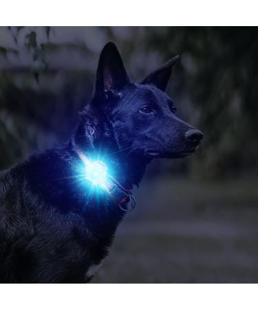 LaRoo Safety LED-Flashing Light for Dogs Cats LED-Light Pendant Keyring Clip on Dog Collar Charms Blinker Light Waterproof Safety Light for Walking the Dog and Outdoor Sports rechargable Purple-1 - Buy Online on SooperMarket.com