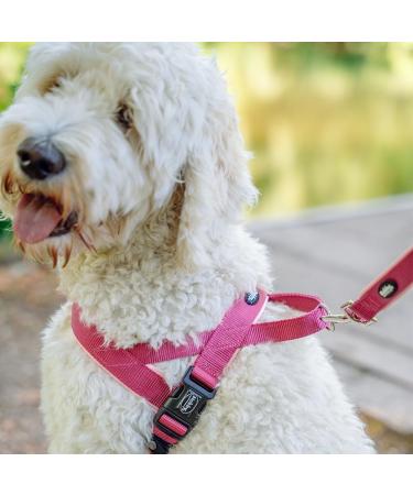 Nobby Norwegian Classic Preno Harness - Raspberry/Pink Size L (60-76 cm) | Durable & Stylish Dog Harness for International Shipping - Buy Online on SooperMarket.com