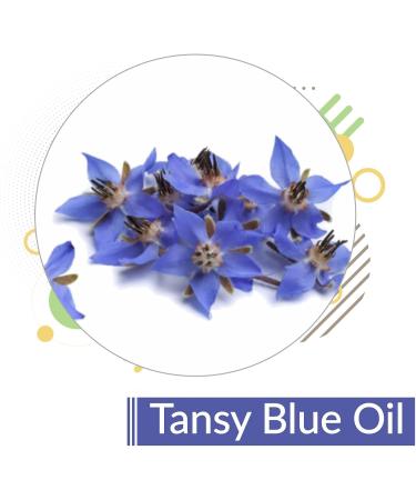 Crysalis Tansy Blue (Tanacetum Annuum) Oil |100% Pure & Natural Undiluted Essential Oil Organic Standard Tansy Oil For Cleansing Skin & Pores Reduce Redness Repair Damaged Skin - (15 ML) - Buy Online on SooperMarket.com
