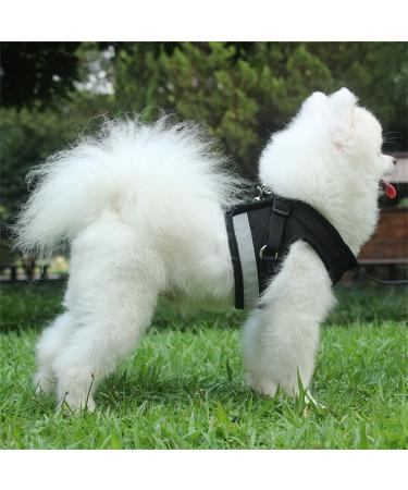 Reflective Soft Padded Dog & Cat Dishes with Leash - Air-Mesh for Small Dogs & Cats (XS 24-27cm) - LOOK ANDE HOUSE - Buy Online on SooperMarket.com