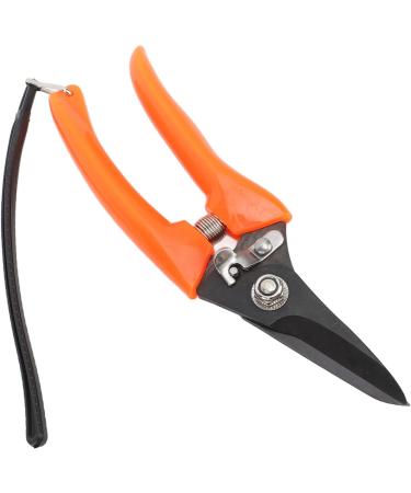 Buy High Carbon Stainless Steel Hoof Shears for Goats | Safe & Durable - International Shipping - Buy Online on SooperMarket.com
