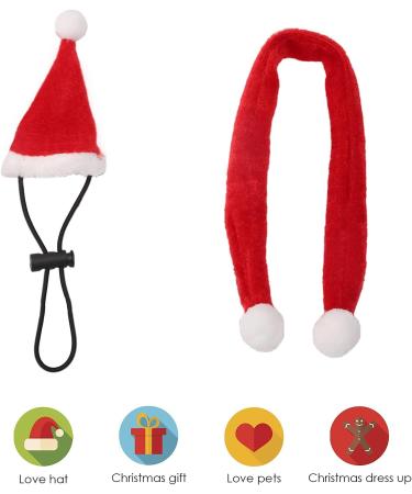 Petyoung Reptiles Hat & Scarf Set for Lizards Bearded Dragons Geckos - Christmas Hat Shell Red Leash & Dishes - Perfect Gift for Small Animals - Buy Online on SooperMarket.com