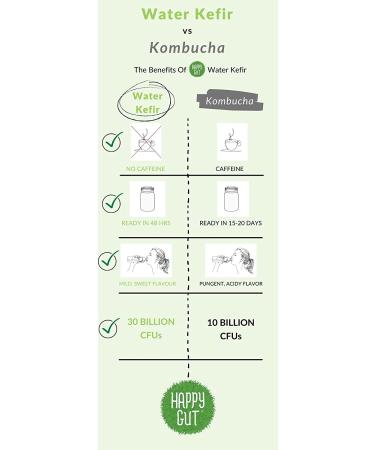 Organic Dehydrated Water Kefir Grains by Happy Gut - Unlimited Usage, Vegan, Gluten-Free - Buy Online on SooperMarket.com