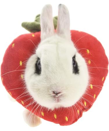 Buy Fladorepet Rabbit Protection Cone Elizabethan Neck Collars & Hasentoast Avocado Costume for Small Pets - Perfect for Recovery & Fun! - Buy Online on SooperMarket.com