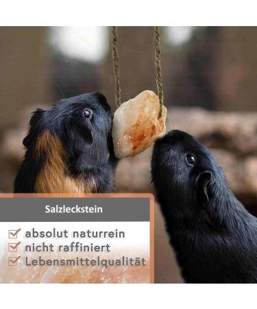 Set of 10 Himalayan Salt Lick Stones with Cord - 1 kg for Rabbits, Cats, Horses, Sheep - Premium Mineral Lick for Animals - Buy Online on SooperMarket.com