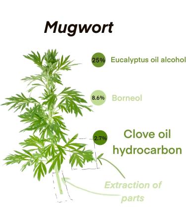 Mugwort Essential Oil 100% Pure-Undiluted Therapeutic Grade Great for Aromatherapy Foot Bath Moxibustion Guasha 15ml(0.49oz) - Buy Online on SooperMarket.com