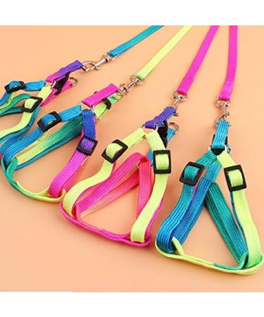 Hypeety Rainbow Design Pet Bird Harness & Leash | Outdoor Anti-Bite Training Rope for Macaw & Large Birds | Adjustable & Safe Parrot Leash (L 1.5cm 47.24in) - Buy Online on SooperMarket.com