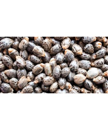 OPO Pure Castor Bean Oil - 100% Organic Cold Pressed Premium 4 OZ | Best for Hair Nails Eyelashes & Beard Care - Buy Online on SooperMarket.com