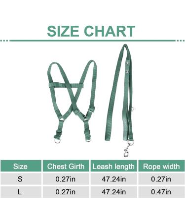 Felenny Bird Dishes & Adjustable Leash - Essential Outdoor Accessories for Scarlet Red Ara Sun Conure & Nymphensittich (Green Small) - Buy Online on SooperMarket.com