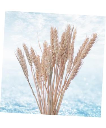 Cabilock Natural Dried Flowers 30 Pcs Natural Artificial Flower Decorative Artificial Flower As Shownx2pcs mediumx2pcs - Buy Online on SooperMarket.com