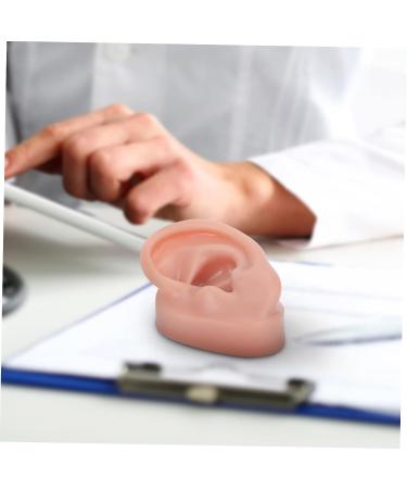 FOMIYES Silicone Human Ear Model for Piercing Teaching Display - Coffee 6.5x3.5cm - Buy Online on SooperMarket.com