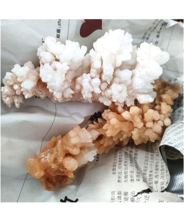 Rare Natural Raw Quartz Crystal Cluster Stones Crystal Point Specimen Home Decoration Raw Crystals Beautiful Gift (Size : 40-70g) - Buy Online on SooperMarket.com